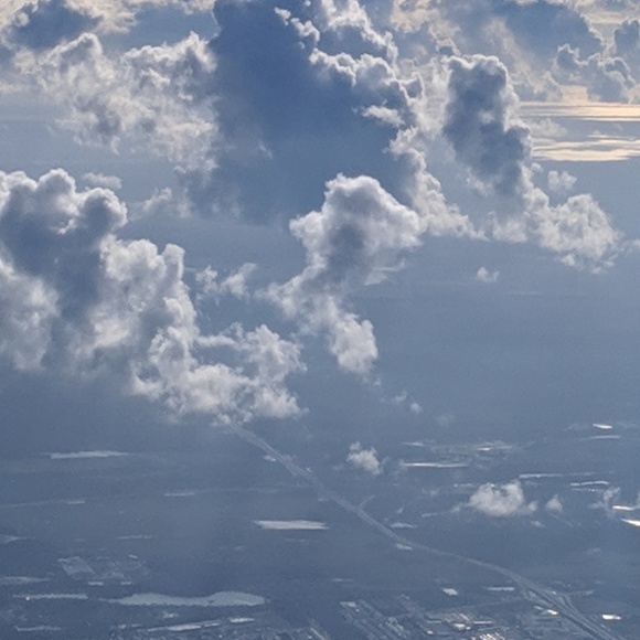 Meet your Posher, Tammy - Picture 1 of 1